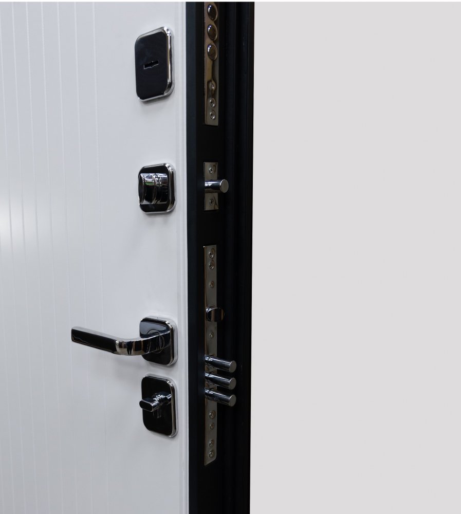 Товар Дверь Цербер SS-01 Только 96 DIS007136