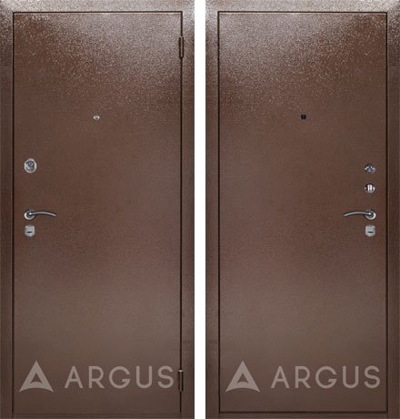 Дверь Аргус ДА-9 DIS00467